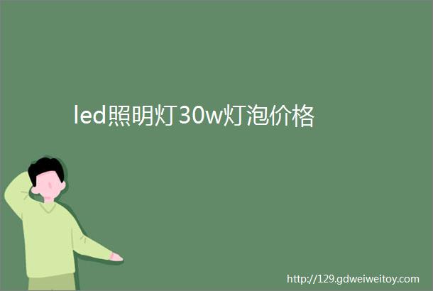 led照明灯30w灯泡价格